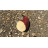 Patate douce 'Murasaki'