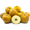 Pommier 'Reinette Clochard'