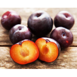 Plumcot 'Spring Satin'
